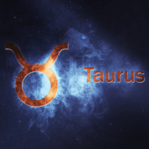 noční obloha, Býk