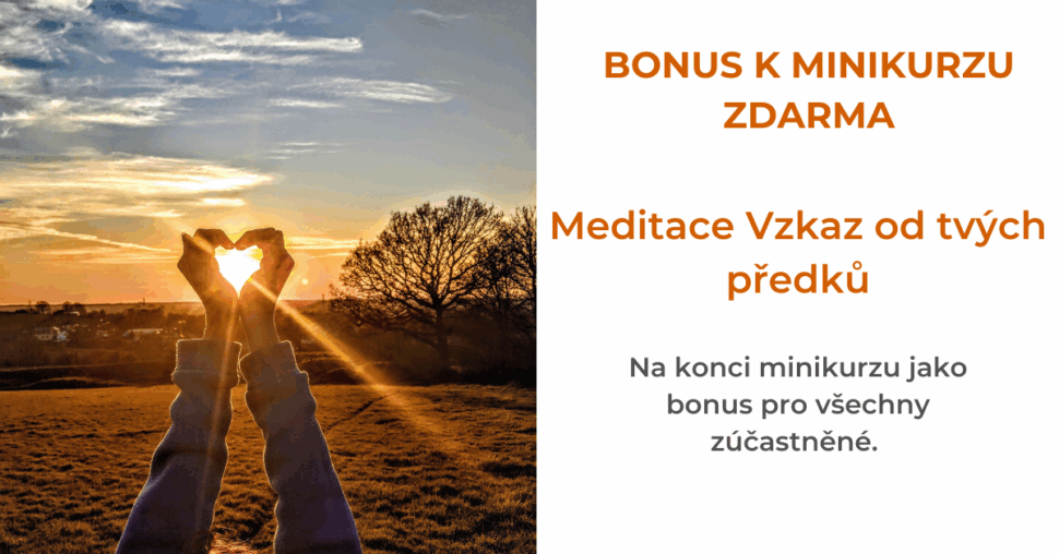 bonus k minikurzu
